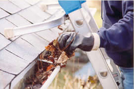 Gutter Cleaning Service in NJ