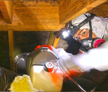 basement bathroom mold remediation and inspection services being carried out in 08034 Camden County